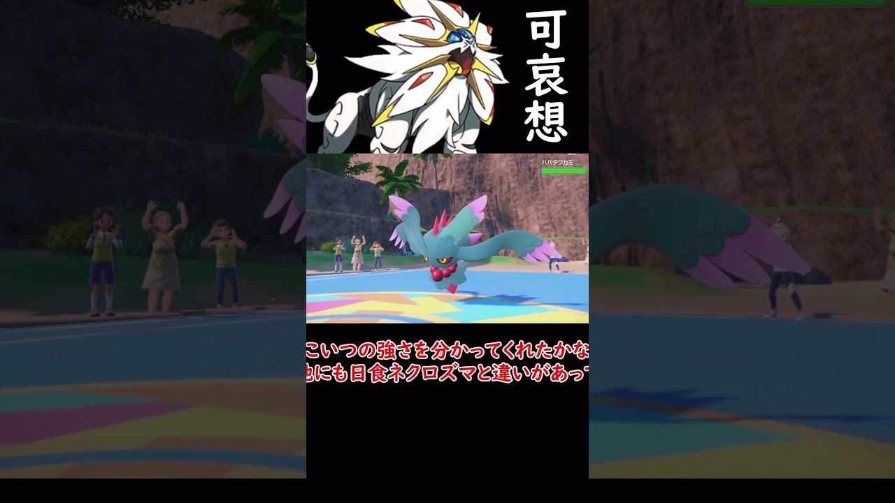 かわいそうなソルガレオ