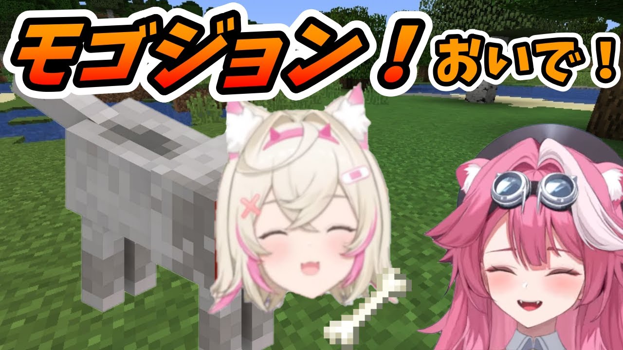 愛犬モゴジョンを連れ冒険するラオーラ【ラオーラ・パンテーラ/モココ/ホロライブEN切り抜き】