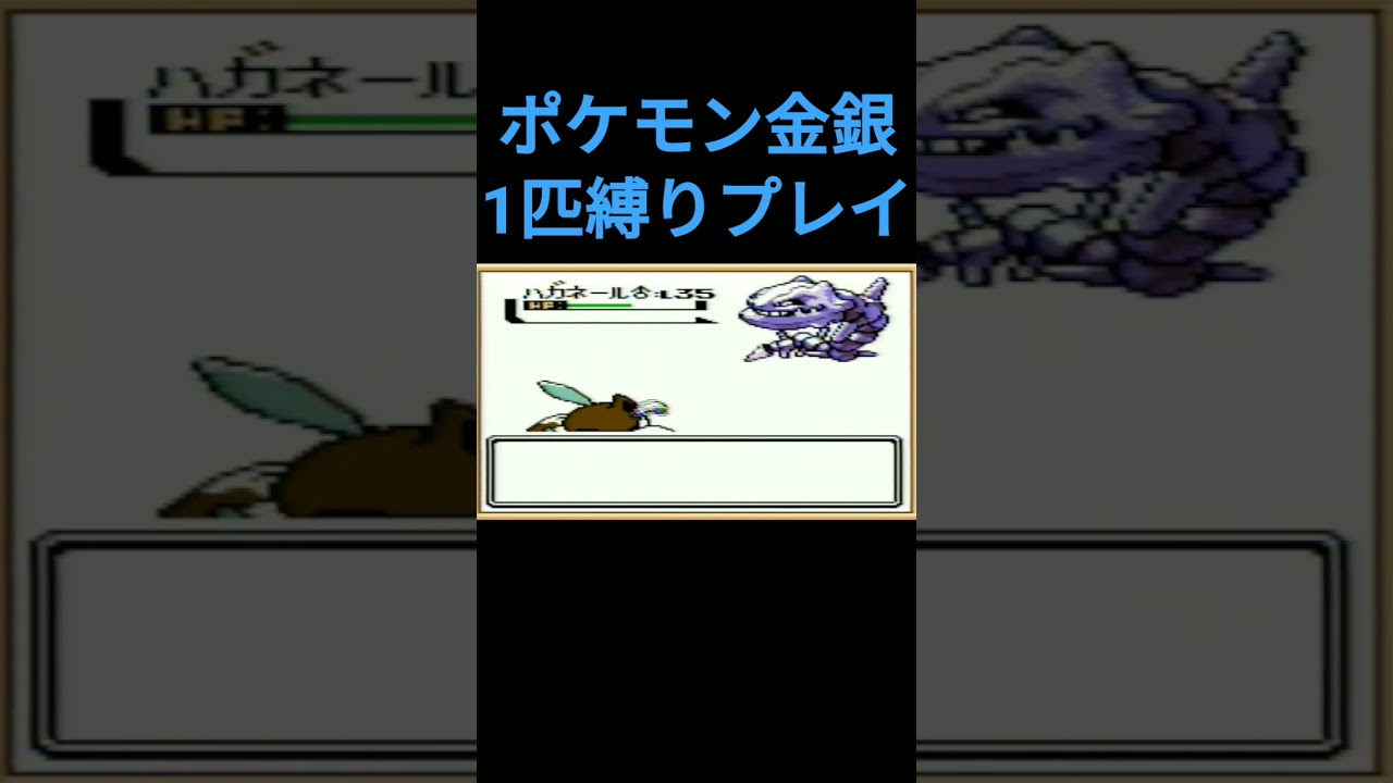 【ポケモン金銀】ポケモン金銀1匹縛りプレイ!!ニューラver【縛りプレイ】#ポケモン金銀 #縛りプレイ #ニューラ #ゲーム実況