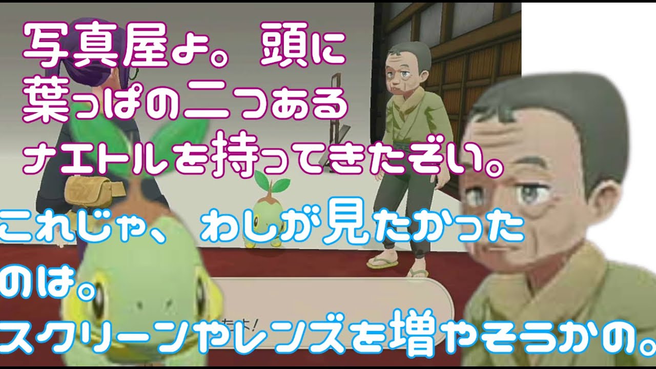 写真屋のゲンゾウは、ナエトルの姿がみたい。【ナエトル】【LEGENDSアルセウス】【写真屋】【川の写真のポケモンは】