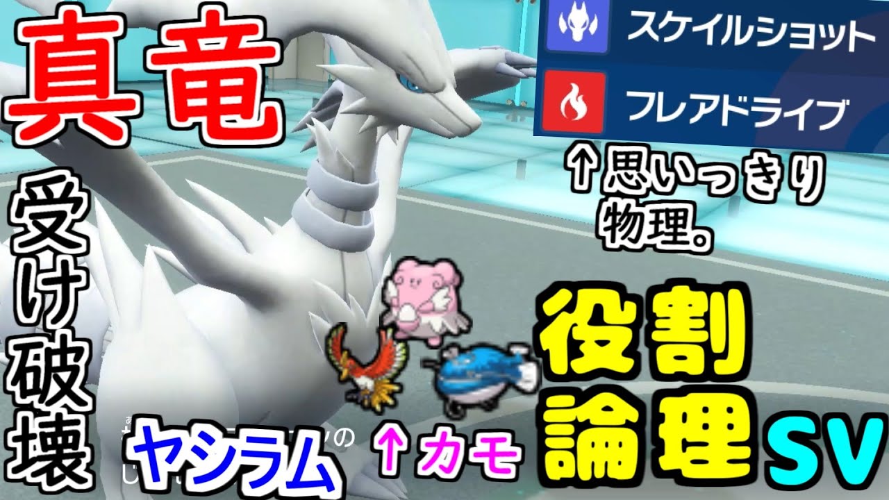 【役割論理】真なるドラゴン"レシラム"が裏をかいてまさかの物理で攻めますぞｗｗｗ【ポケモンSV】