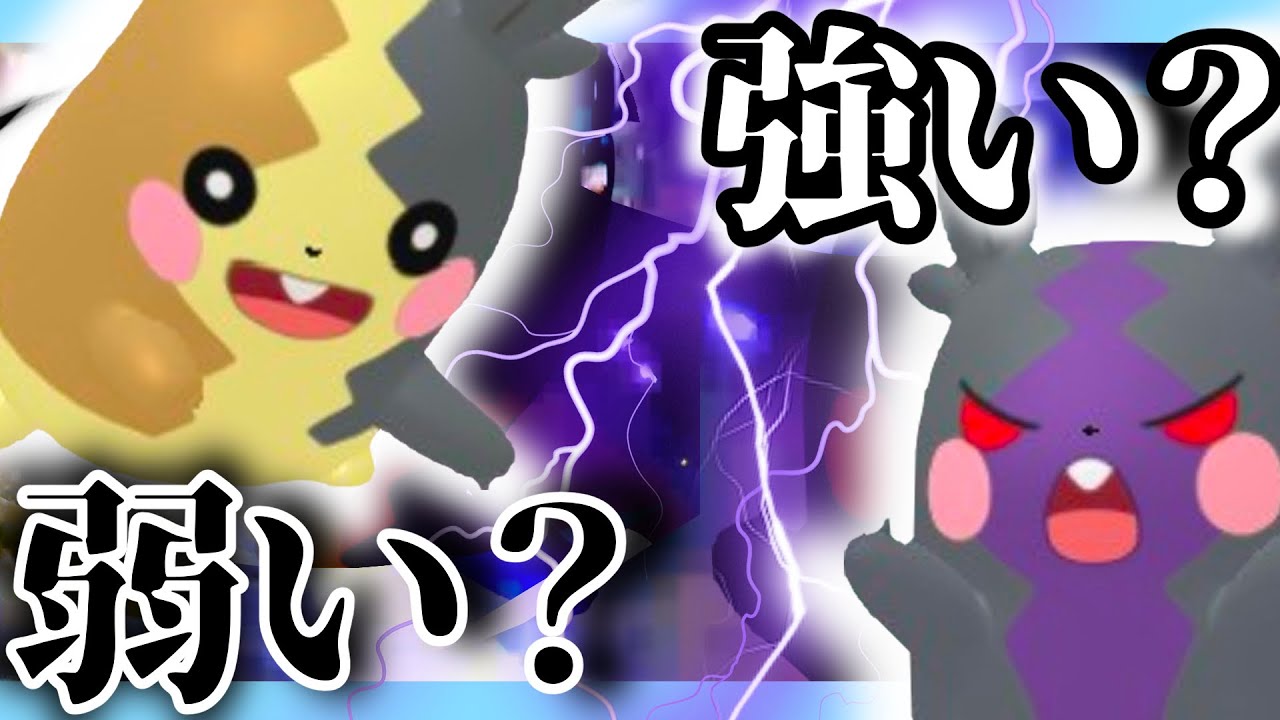 伝説環境でもモルペコはやっていけるのか？【ポケモンSV】
