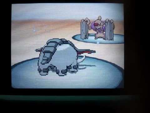 ポケモンだらだらランダムマッチ26【ドンファンの物理耐久】