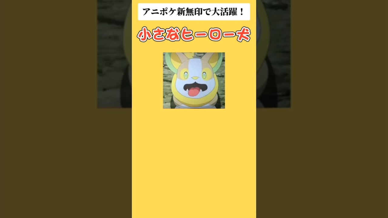 【ポケモン】アニポケ新無印で大活躍！小さなヒーロー犬「ワンパチ」#ポケモン剣盾#ポケモン#ソードシールド