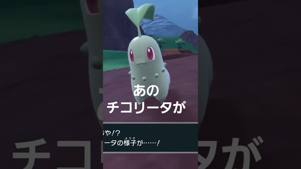 ベイリーフ