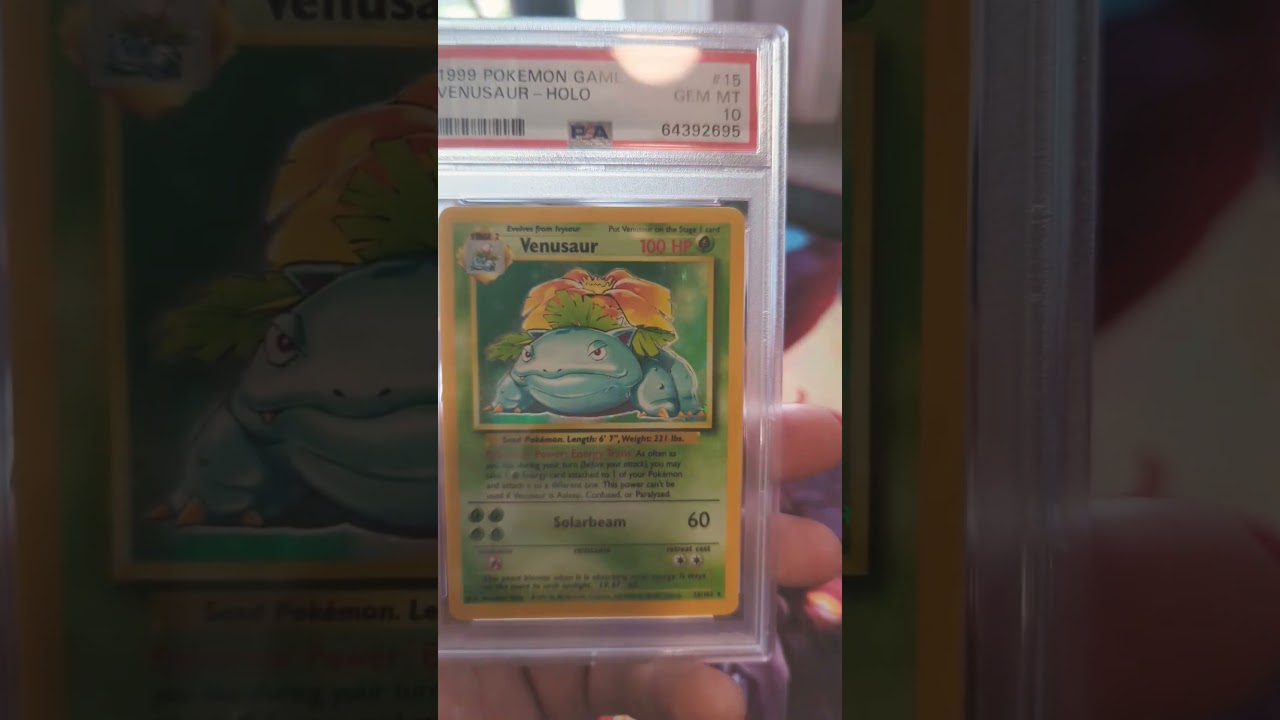 Slab Showcase Base set Venusaur #15 #pokemon #pokemoncards