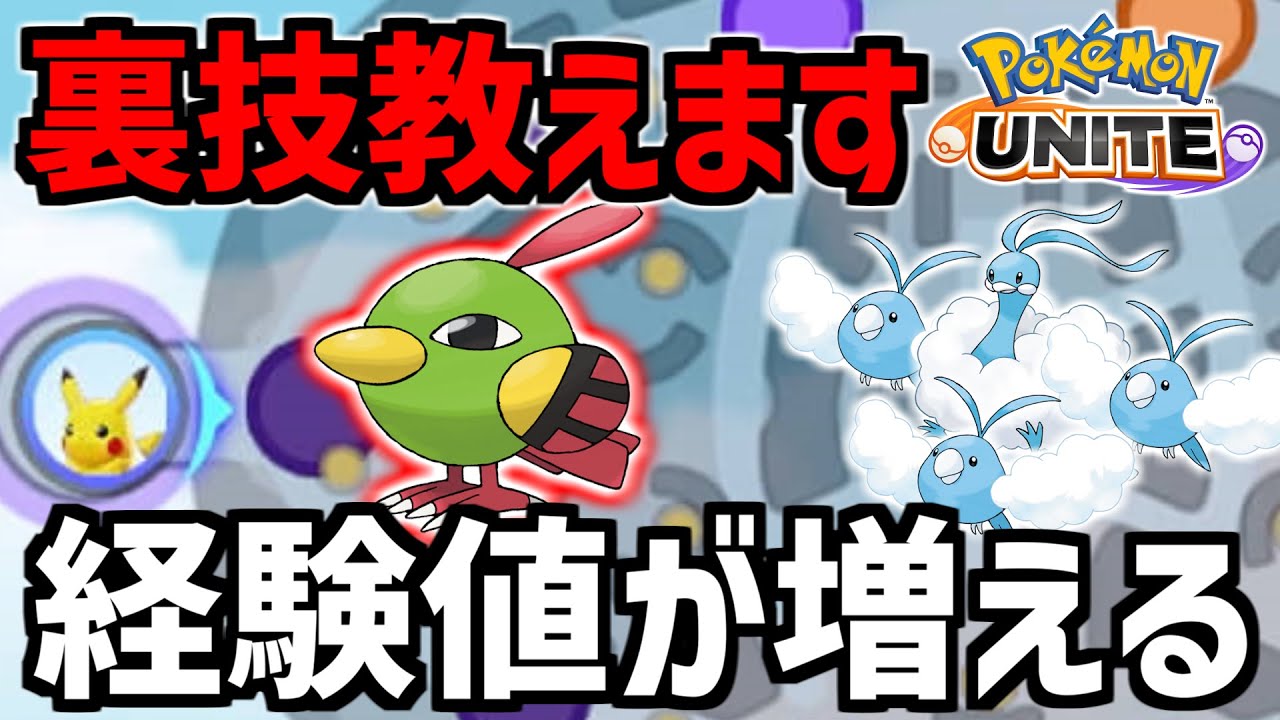 上位ランカーでも意外と知らない!? 経験値を増やす裏技 小ネタ解説【ポケモンユナイト/最強キャラ】
