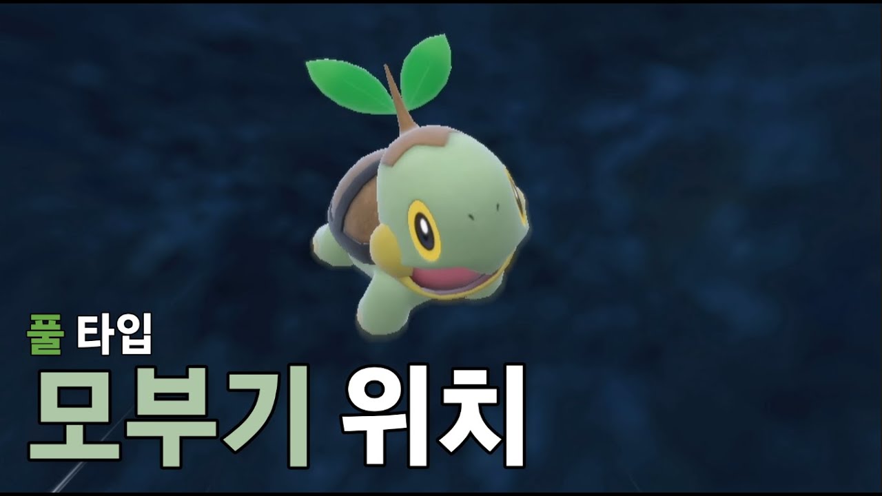 모부기 위치 (역대 스타팅 포켓몬)