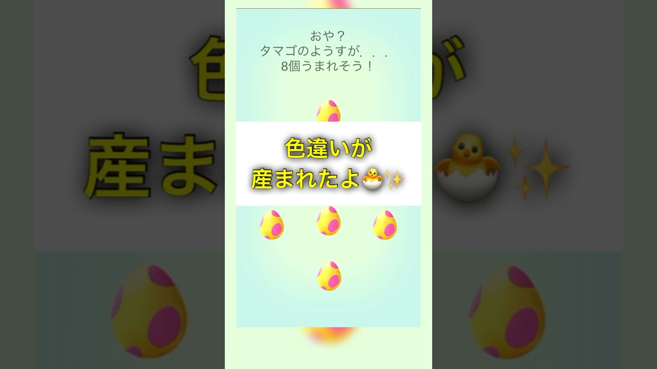 【PokemonGO】エモンガの色違いが産まれたよ GOフェス 2024