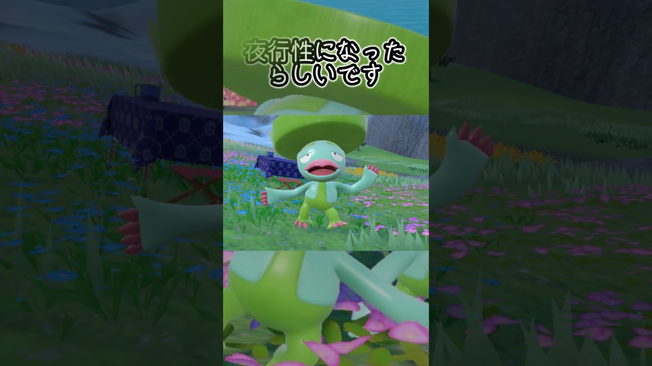 ハスブレロ6匹とピクニック【ポケモンSV】#Shorts