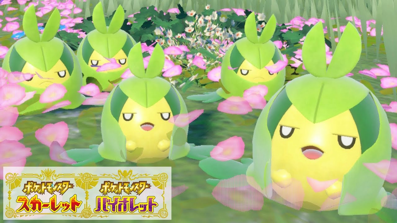 クルマユ６匹に囲まれて癒されピクニック【ポケモンSV】