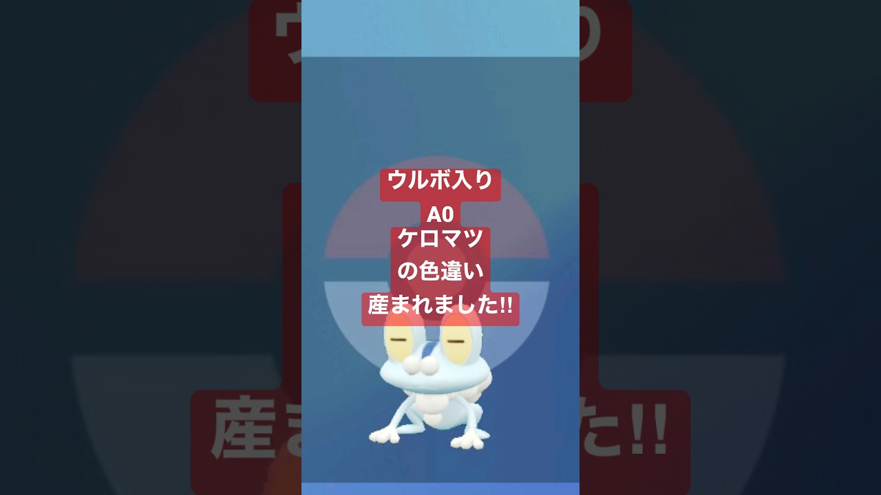 ポケモンsv 色違いケロマツ♀産まれました‼︎