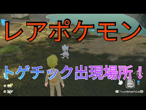 「ポケモンレジェンズアルセウス」レアポケモン！トゲチック出現場所！