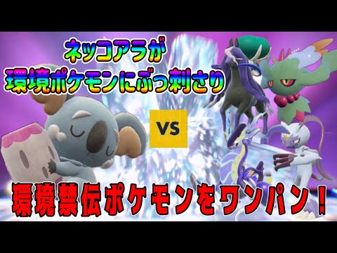 ネッコアラが今の禁伝環境に刺さりすぎて強いw【ポケモンSV】