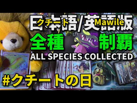 【ポケカ】クチートの日、全種制覇！コンプリート記念【クチート無限回収】