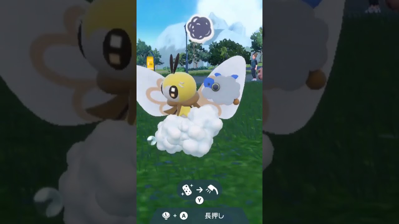 アブリボン Ribombee【ポケモンsv】