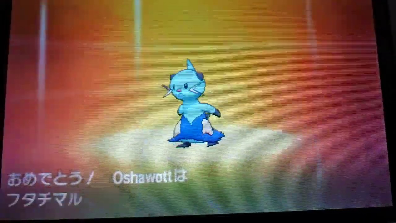 【ポケモンサン】ミジュマルの進化