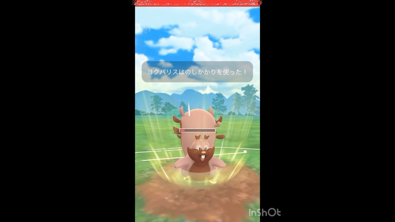 やっぱりヨクバリス強いなぁ〜‼️