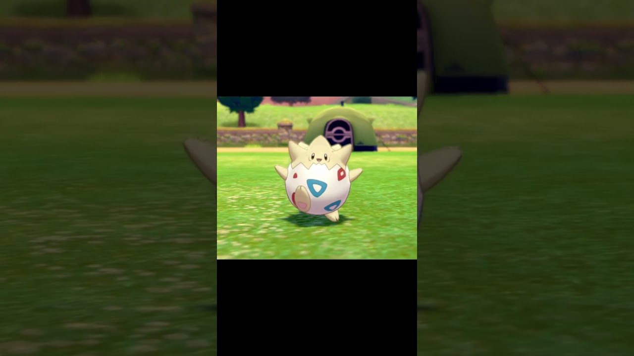 駆け寄ってくるトゲピー　#Shorts