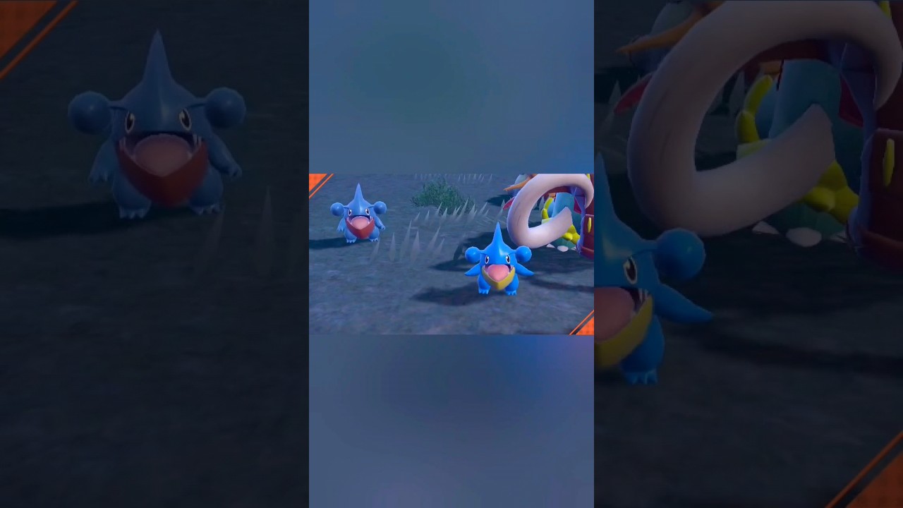 フカフカboy #ポケモンsv #shortvideo #フカマル #かわいい