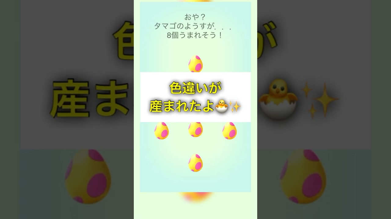 【PokemonGO】サニーゴの色違いが産まれたよ GOフェス2024