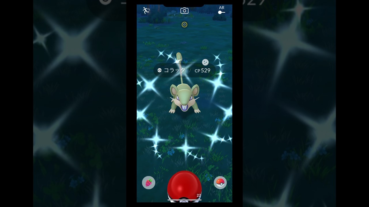 コラッタ色違い　#shorts #ポケモンGO #pokemongo #pokemon #ポケモンgo #ポケモン　#コラッタ　#コラッタ色違い　#色違い