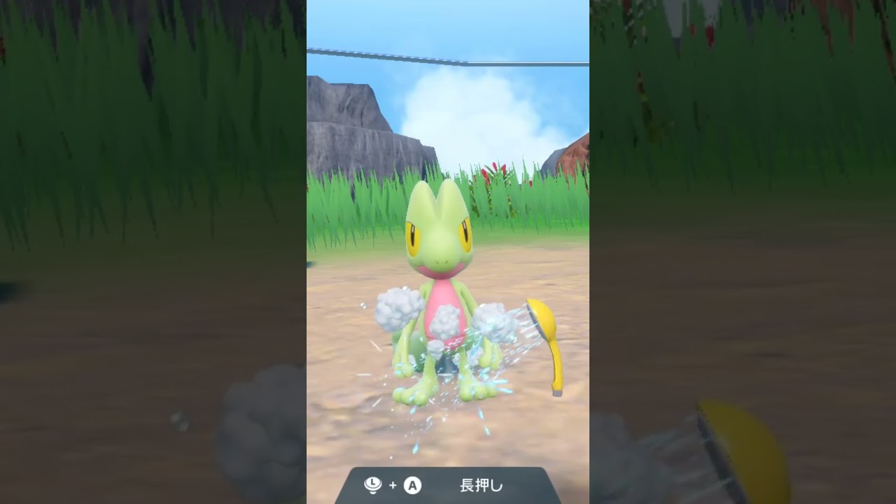 キモリ Treecko【ポケモンsv】