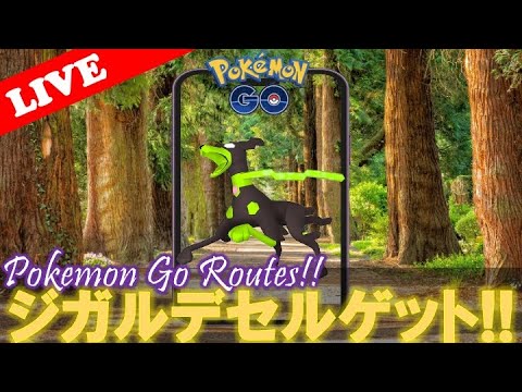 【🔴LIVE】ジガルデセルゲットだぜ‼️【セル: 54】【ポケモンGO】
