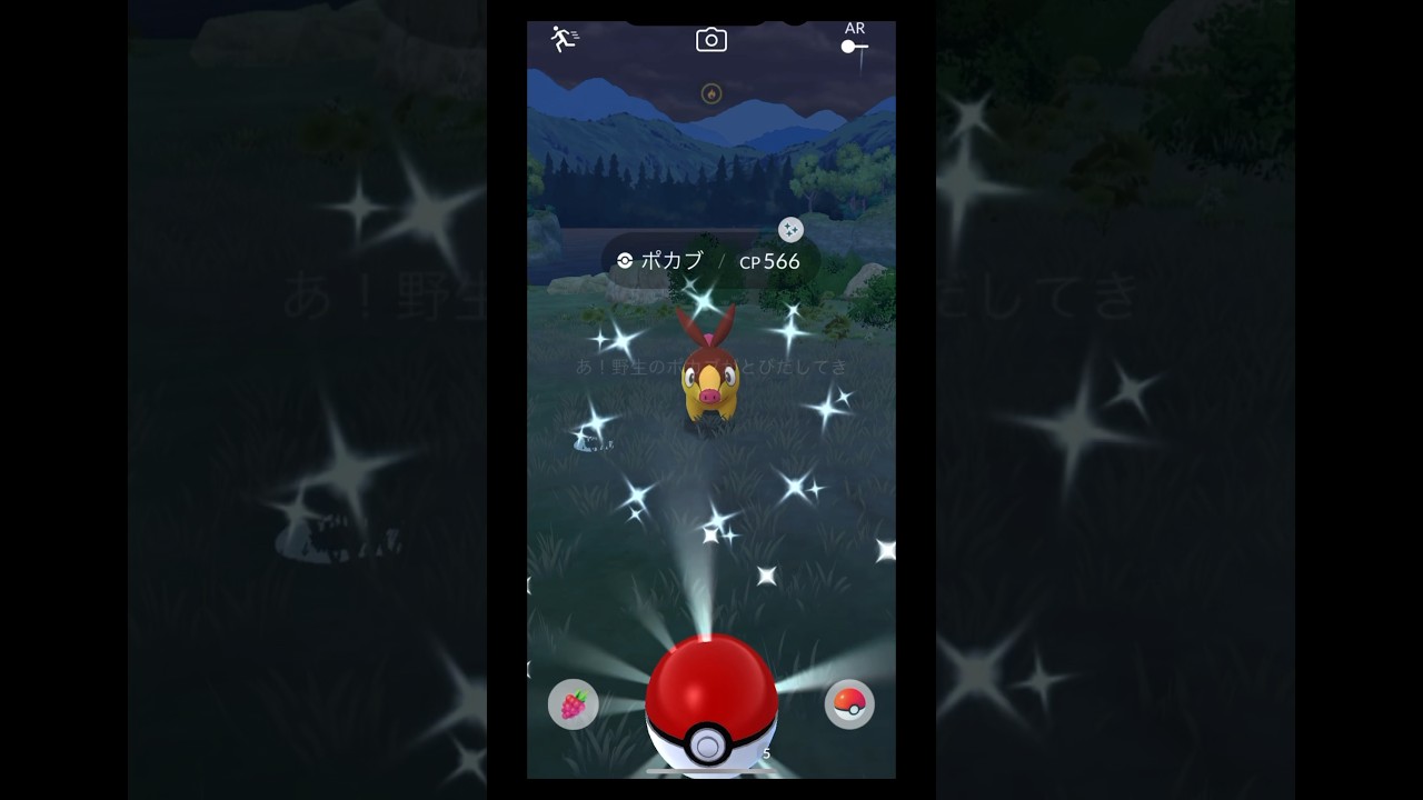 ポカブ色違い　#pokemongo #pokemon #ポケモン　#色違い　#ポカブ　#ポカブ色違い