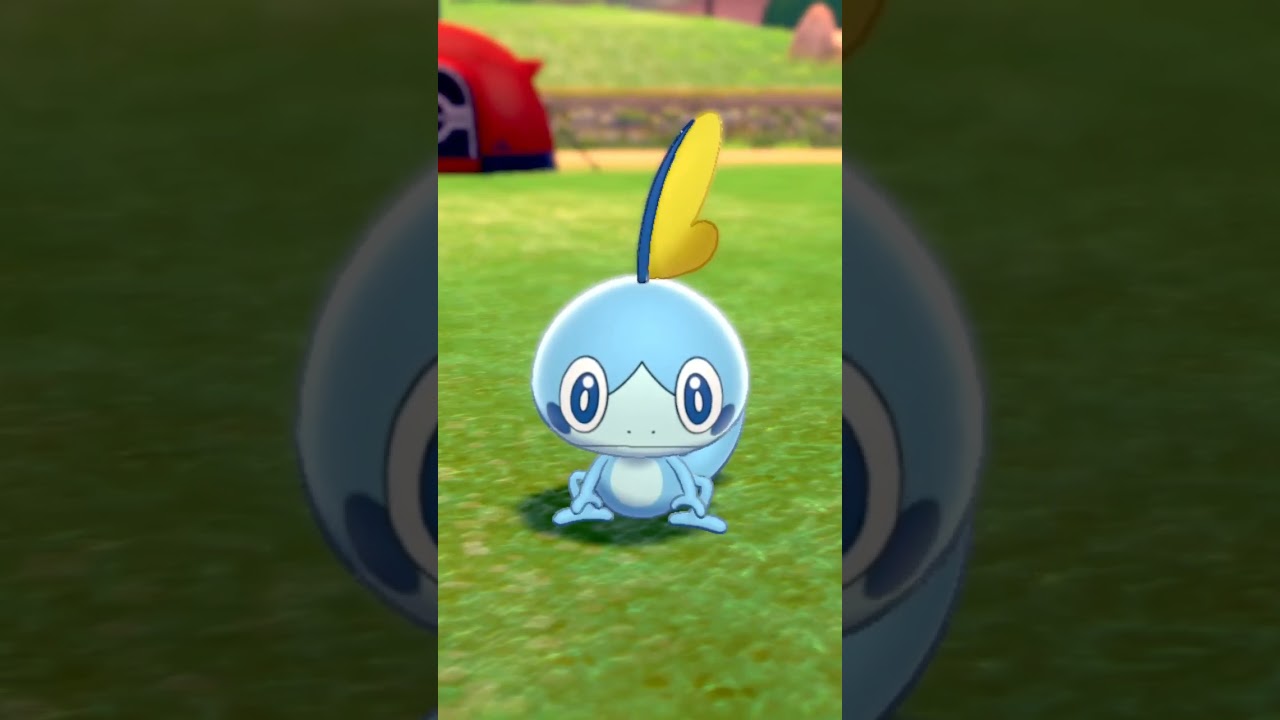 メッソン Sobble【ポケモン剣盾】