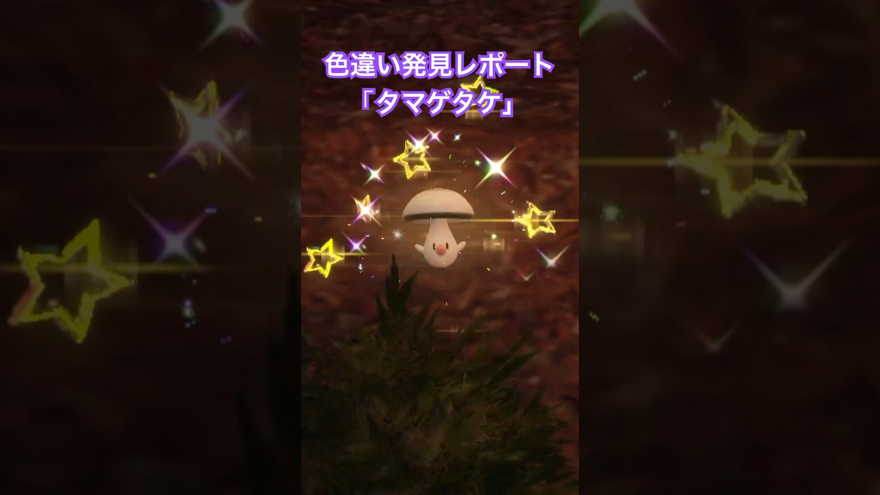 ポケモンSV 色違い発見レポート「タマゲタケ」 #色違いポケモン