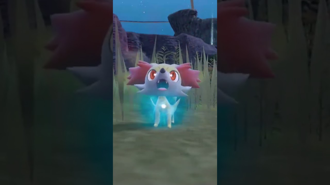 可愛いフォッコさんが!