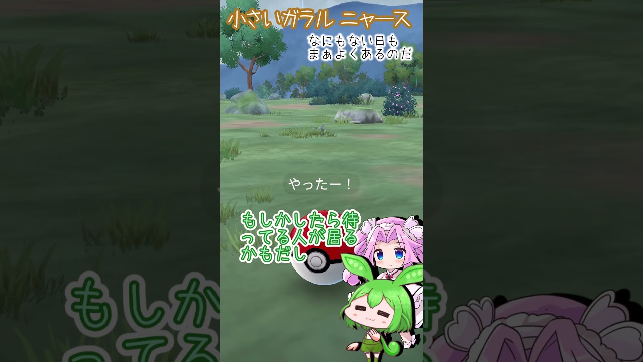 【ポケモンGO】何もない日...小さいガラルニャースGetなのだ【PokémonGO】 #shorts  #ポケモンgo #pokemongo    #ずんだもん