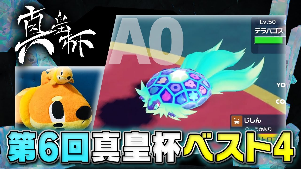 【第6回真皇杯】A0が全国規模のオフライン大会で４位を獲得した"最新テラパゴス構築"を解説します