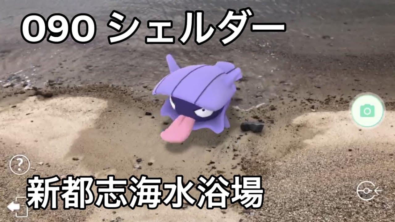 【ポケGO動くポケモンずかん】090 シェルダー｜Shellder｜新都志海水浴場｜AR動画｜PoKeMoN GO AR【ポケモンGO】