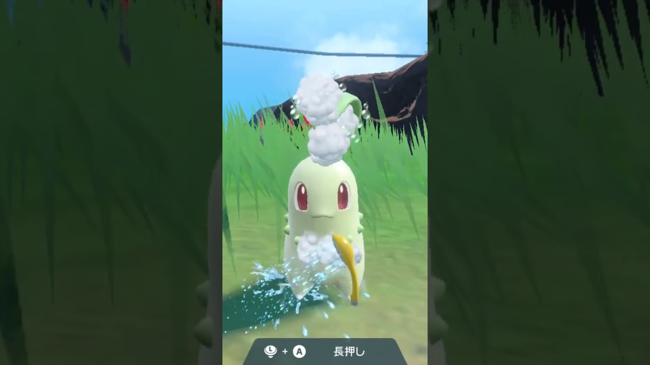 チコリータ Chikorita【ポケモンsv】