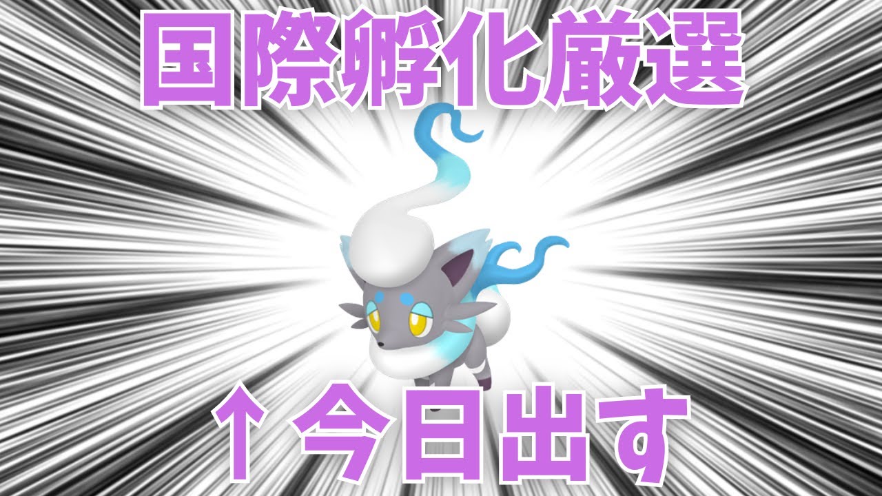 【＃ポケモンSV】暑い夏には色ヒスイゾロア厳選が効くと聞きました。【 天兎たま ‐ AmatuTama ‐ / Vtuber 】