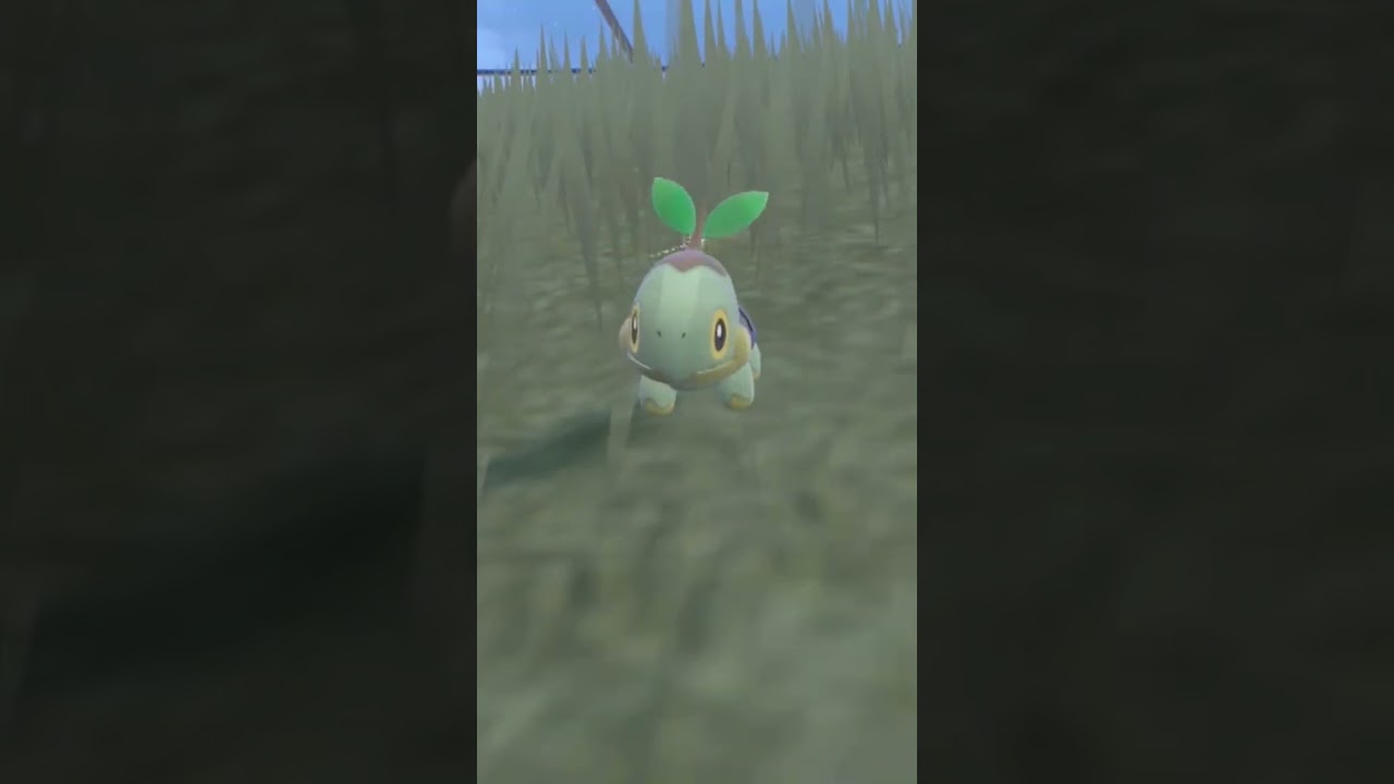 いざハヤシガメ進化