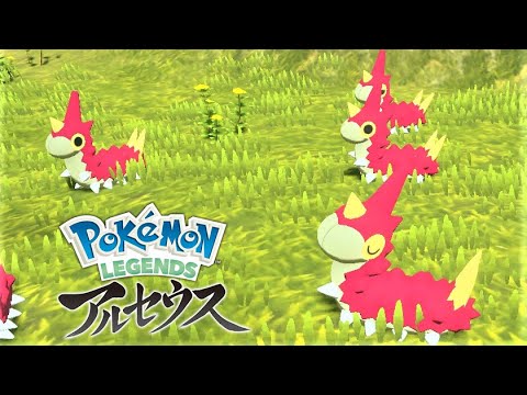 ケムッソ６匹に囲まれて癒されたい【ポケモンレジェンズアルセウス】