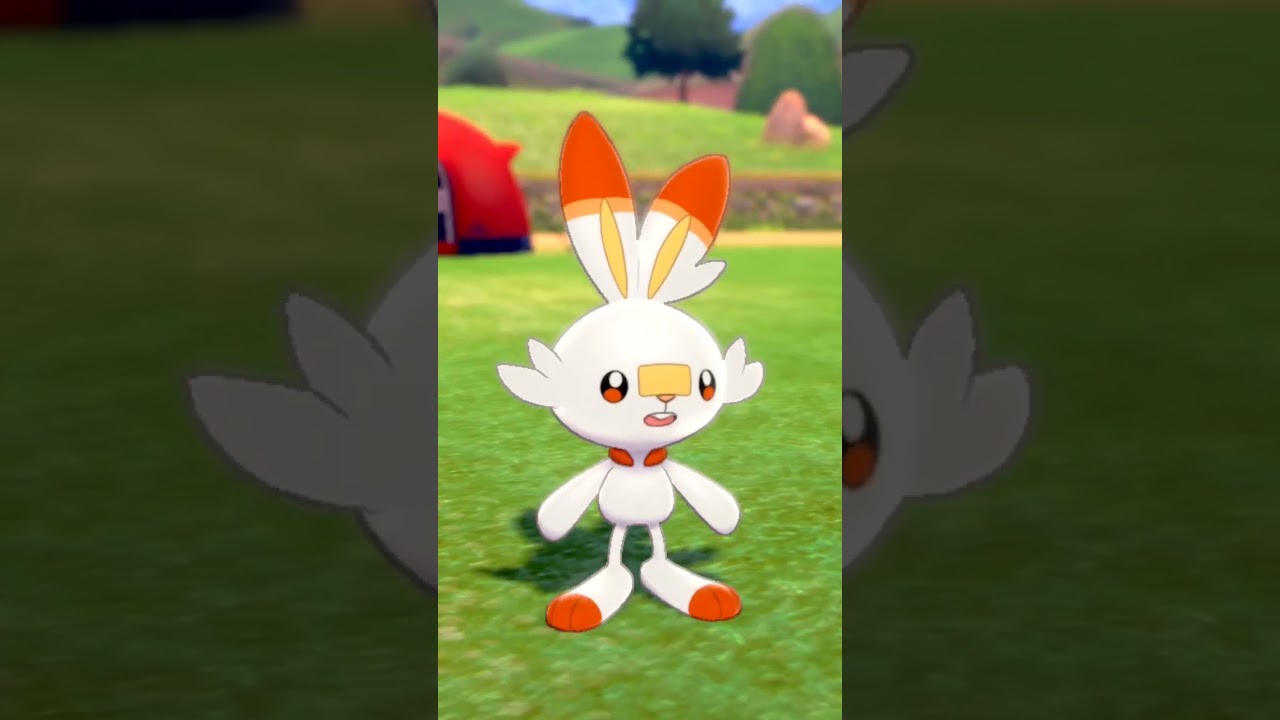 ヒバニー Scorbunny【ポケモン剣盾】