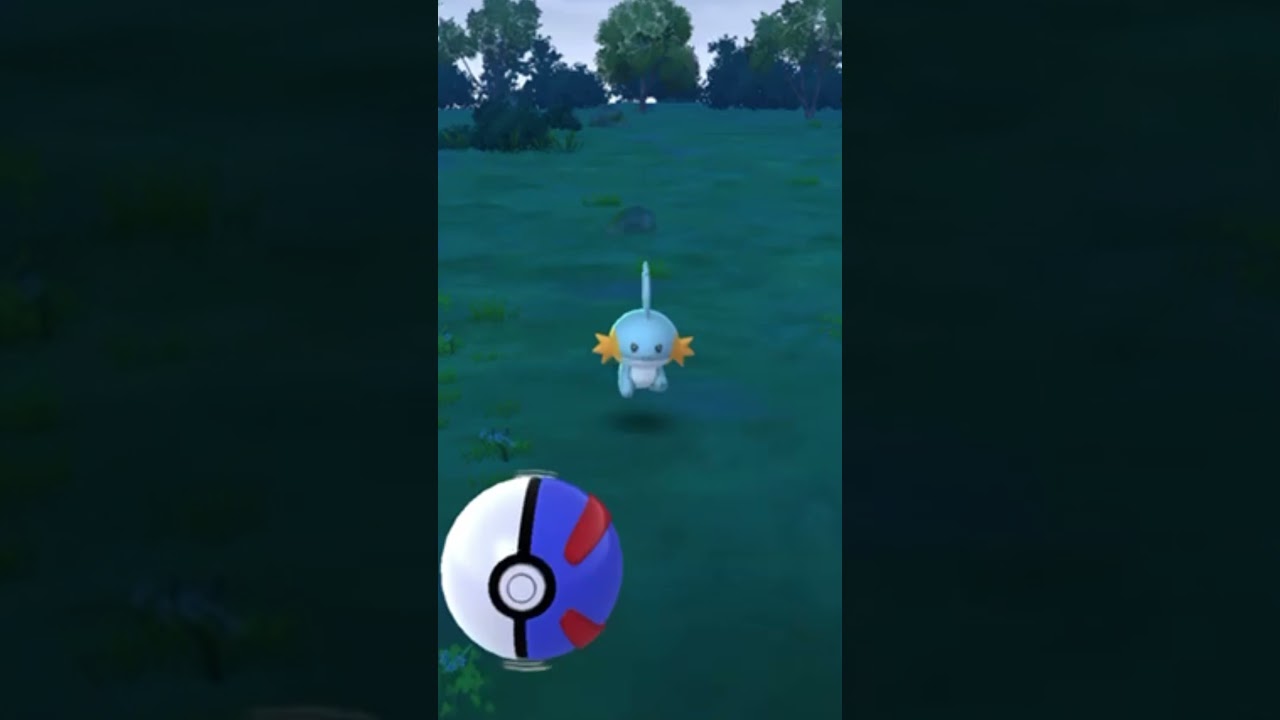 【難易度低】ワンリキー極小サークルクリティカルゲット【ポケモンGO】