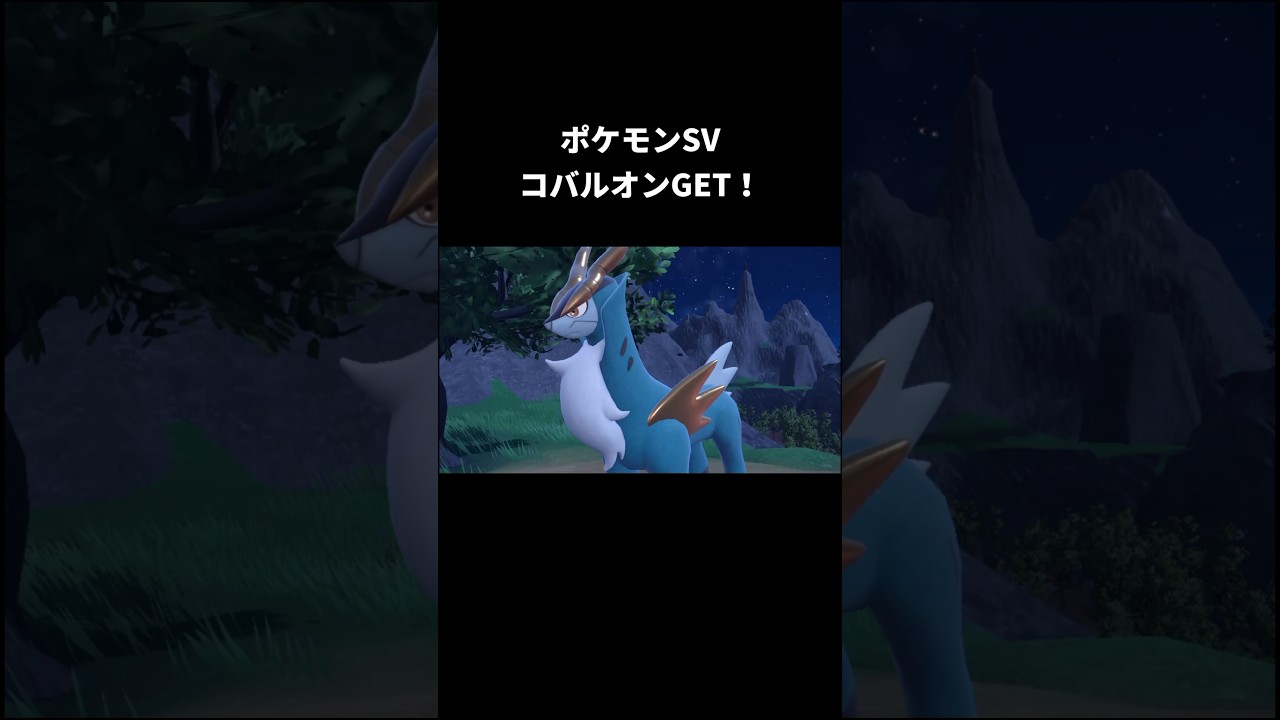 ポケモンSVコバルオンGET！ #ポケモン #ポケモンsv #でんせつのポケモン#コバルオン  #pokemon