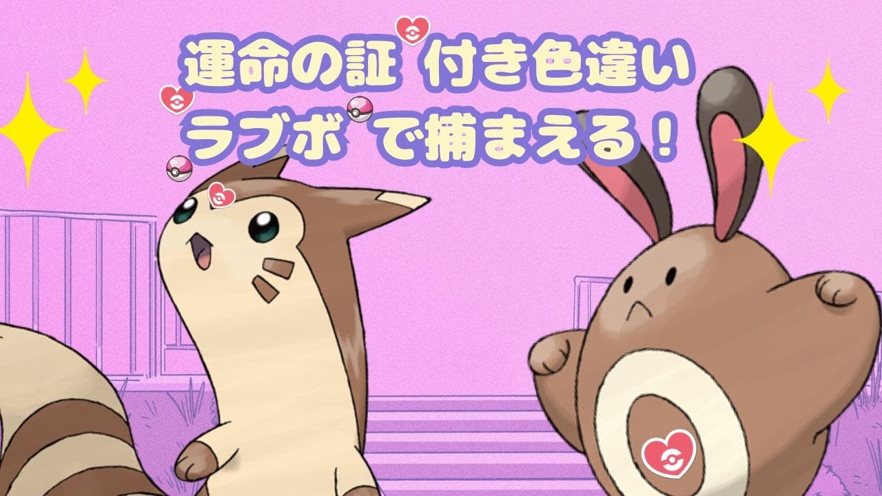 【ポケモンSV】運命証オタチ！！！