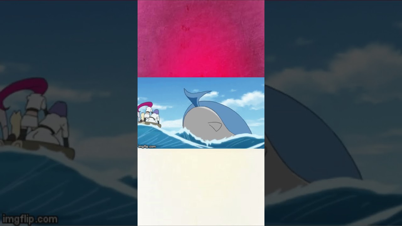 No.321 Wailord  #pokemon #pokedex #nintendo #pokemongo