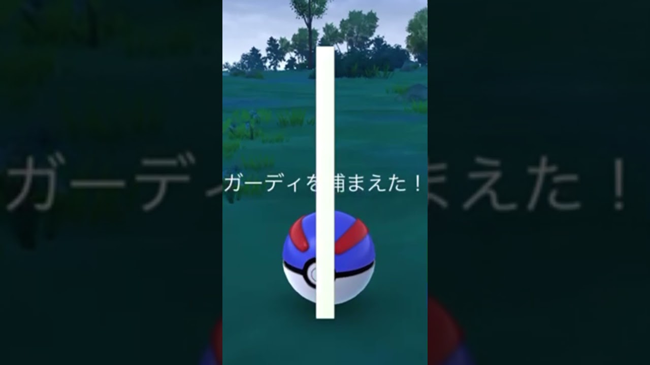 【難易度低】ガーディ極小サークルクリティカルゲット！難易度激高のあのポケモンもクリティカルゲット！？【ポケモンGO】