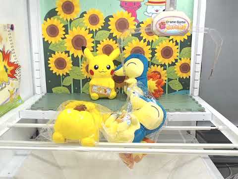 ポケットモンスター　つれてってでっかいぬいぐるみ～ピカチュウ・ヒノアラシ～