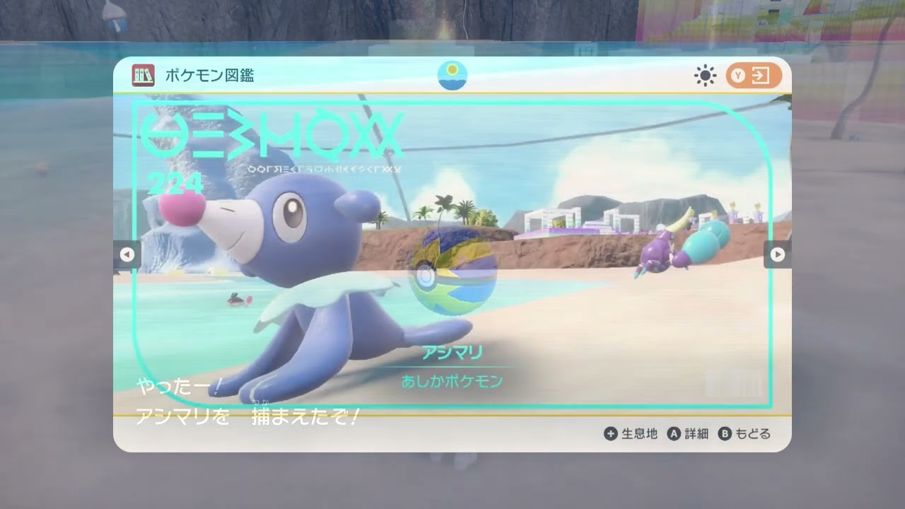 ＜ポケモンSV＞ No.２２４ アシマリ 色違い ＜Pokémon＞