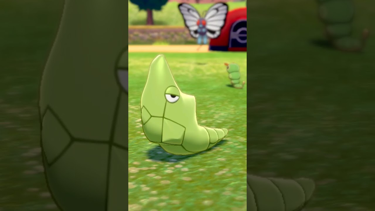 トランセル Metapod【ポケモン剣盾】