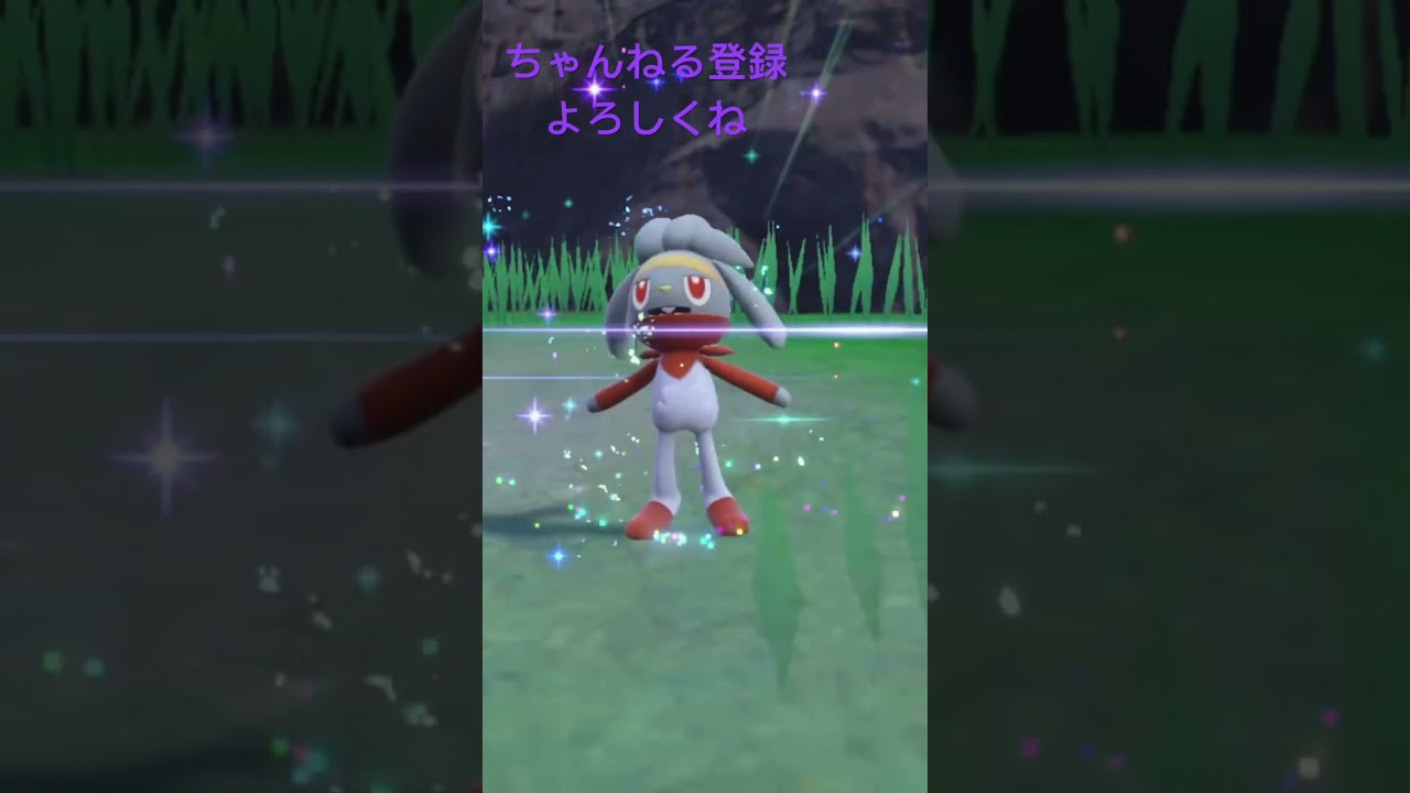 色違いヒバニー進化！ #ポケモン #ポケモン25周年 #gameplay #ポケモンsv #ポケモン151 #ポケモンgo