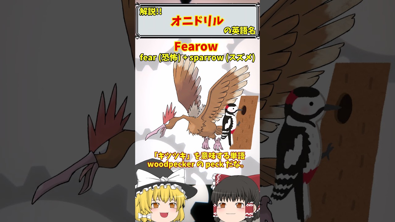 【英語でポケモン】No.022 オニドリル【海外ポケモンゼミナール】 #ポケモン #ポケモンゆっくり解説 #ポケモン解説 #海外 #英語 #toeic